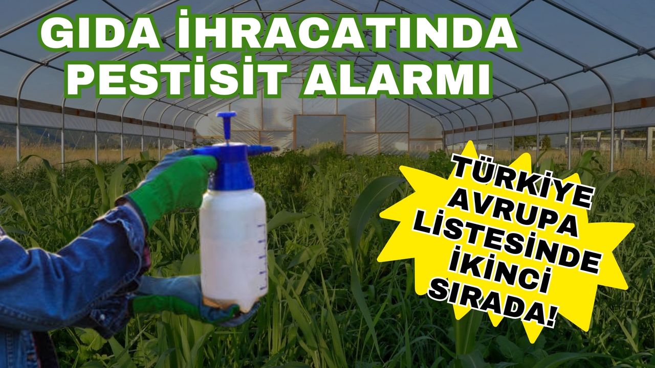 Gıda ihracatında pestisit alarmı: Türkiye, Avrupa listesinde ikinci sırada