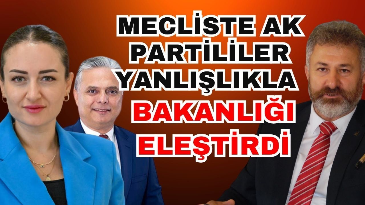 Mecliste Ak Partililer yanlışlıkla bakanlığı eleştirdi