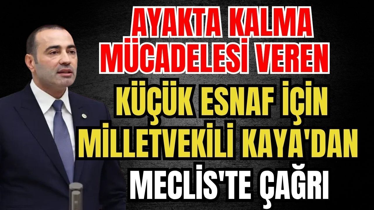 Ayakta kalma mücadelesi veren küçük esnaf için Milletvekili Kaya'dan Meclis'te çağrı