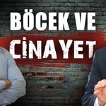 Antalya'nın gündemi: Böcek ve cinayet