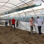 Antalya’daki seralarda yeni dönem başlıyor