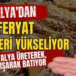 Antalya’dan feryat sesleri yükseliyor! Antalya üreterek, çalışarak batıyor