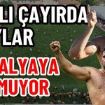 Dualı çayırda Taş’lar madalyaya doymuyor