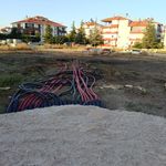 Korkuteli Belediyesi ağaçları katletti