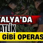 Antalya’da 5 saatlik film gibi operasyon