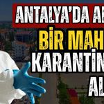 Antalya’da şap alarmı! Bir mahalle karantinaya alındı