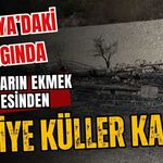 Antalya’daki yangında balıkçıların ekmek teknesinden geriye küller kaldı