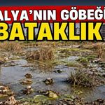 Antalya’nın göbeğinde bataklık