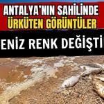 Antalya’nın sahilinde ürküten görüntüler! Deniz renk değiştirdi