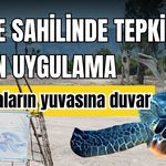 Finike Sahili’nde tepki çeken uygulama! Carettaların yuvasına duvar örüldü