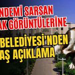 Gündemi sarsan barınak görüntülerine Aksu Belediyesi'nden flaş açıklama
