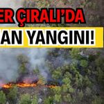 Kemer Çıralı’da orman yangını!