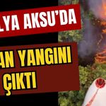 Antalya Aksu’da orman yangını çıktı