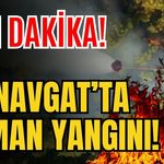 Son dakika! Manavgat’ta orman yangını