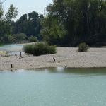 Manavgat’ta tehlikeli ısrar! Uyarılara rağmen ırmağa giriyorlar