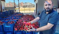 Salça yapmanın yolları