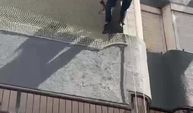 Güvercin için seferberlik
