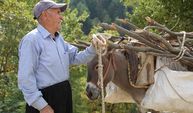 Dağ köylerinde eşekle odun çekme nostalji yaşattı