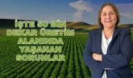 Tarım Gündem'i: İşte 50 bin dekar üretim alanında yaşanan sorunlar