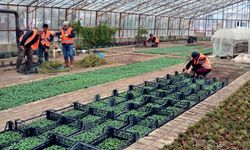 Manavgat felaketin izlerini tasarruf ederek kapatıyor