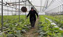 Antalya'da yaşanan felaket ürünleri çöp etti