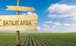 Mersin'de 318 metrekare arsa mahkemeden satılacak