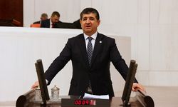 Cavit Arı o yolu sordu