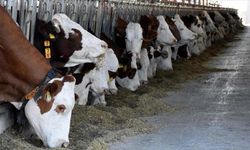 Kaçaroğlu öyle bir şey söyledi ki… Okuduklarınıza inanamayacaksınız