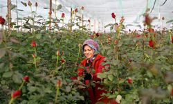 Serada 20 lira çiçekçide 150 lira