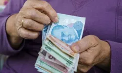 Hemen kontrol edin, e-devlet’te güncellendi, bankaya gitmeden maaşınıza bakın, maaş sorgulama ekranı açıldı