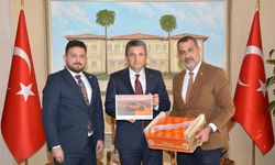 TOGG’un rengi değişsin çağrısı… Bakın hangi renkleri istediler