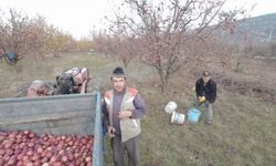 Antalya’da babaya yapılan 'dron' şakası kırdı geçirdi