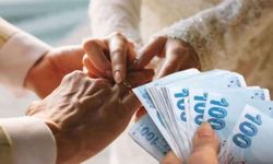Aile ve Gençlik Fonu dilekçesi, formu nasıl doldurulur, nasıl online müracaat edilir, kimler faizsiz 150 bin TL kredi al