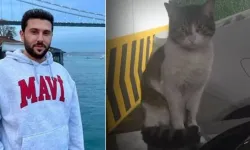 Kedi katilinin tutuklanması için 250 bin imza