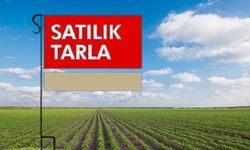 Isparta’da 6 bin 464 metrekare tarla mahkemeden satılacak