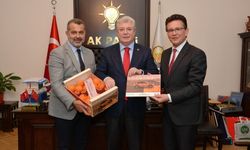 İlk milli otomobil ‘TOGG’un rengi mi değişiyor? Peki TOGG hangi renk olacak?