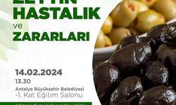 Büyükşehir ücretsiz eğitim vermeye devam ediyor
