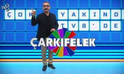 Çarkıfelek Cem Davran mesleği ne, ne iş yapıyor,  hangi dizi ve filmlerde oynadı?