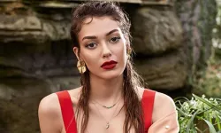 Dilan Çiçek Deniz’den aşk itirafı, sevgilisi kim, kiminle aşk yaşıyor?