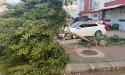 Felaketi yaşayan Kumluca’ya bir felaket daha… Hortum yerle bir etti