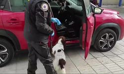 Yabancı uyruklu uyuşturucu taciri yakalandı