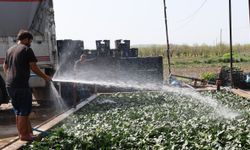 Deprem bölgesi Malatya’dan Adana’ya büyük ilgi