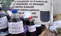 Doğadan gelen lezzet
