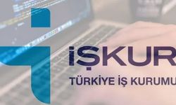 İŞKUR 8520 personel alımı başvurusu 2024, KPSS olmadan başvurun, şartlar belli oldu