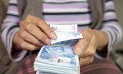 Evde bakım maaşı yattı mı, hangi illere yatırıldı, Evde bakım maaşı yatan iller sorgulama ekranı