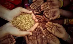 Fıtır Sadakası) Fitre nedir, kimler alabilir, kimler alamaz, Diyanet fitre anne, baba, kardeşe verilir mi?