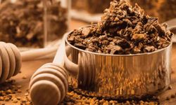 Okula başlayan çocuklar için propolis önem taşıyor