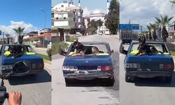 Hurda otomobiliyle, üzerinde köpekle kilometrelerce yol gitti