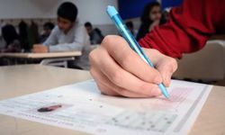 e-Okul LGS başvuru 2024, nereden, nasıl yapılır, LSG başvuru kılavuzu PDF
