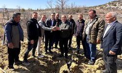Mersin’de binlerce ağaç toprakla buluştu